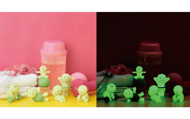 SMISKI Exercising Series Pre order