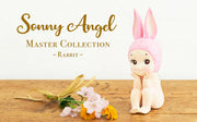 [pre order] MASTER COLLECTION - Rabbit - 2019